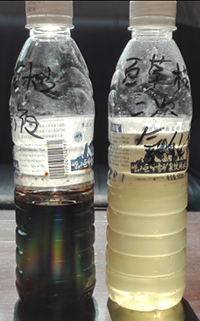 拉斯维加斯电子娱乐网站