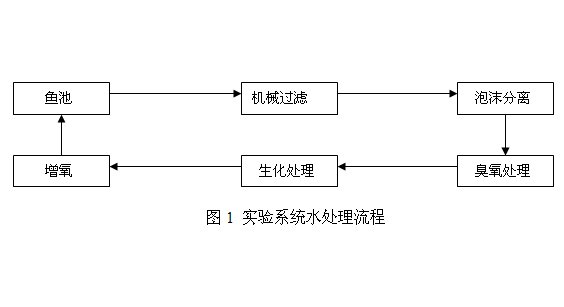 拉斯维加斯电子娱乐网站