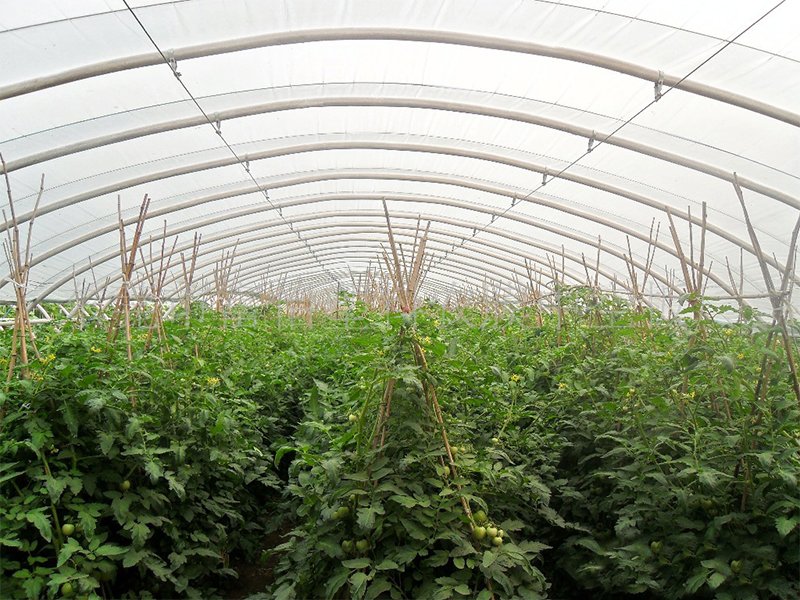 拉斯维加斯电子娱乐网站