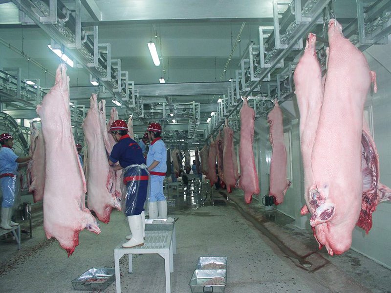 拉斯维加斯电子娱乐网站