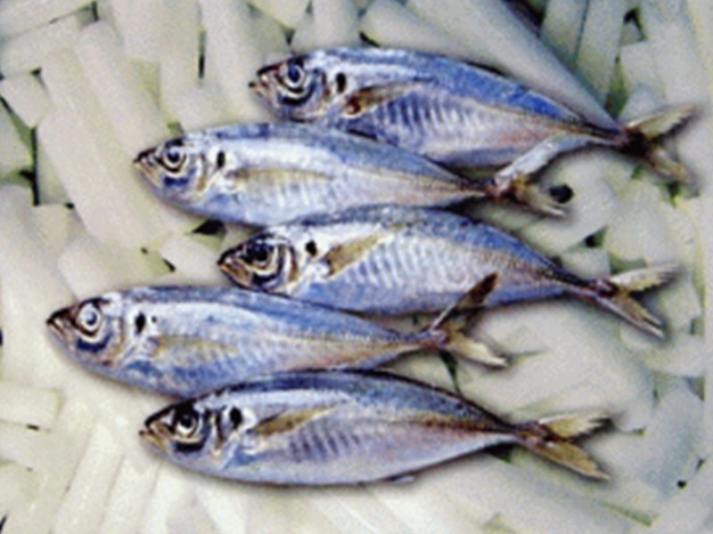 拉斯维加斯电子娱乐网站