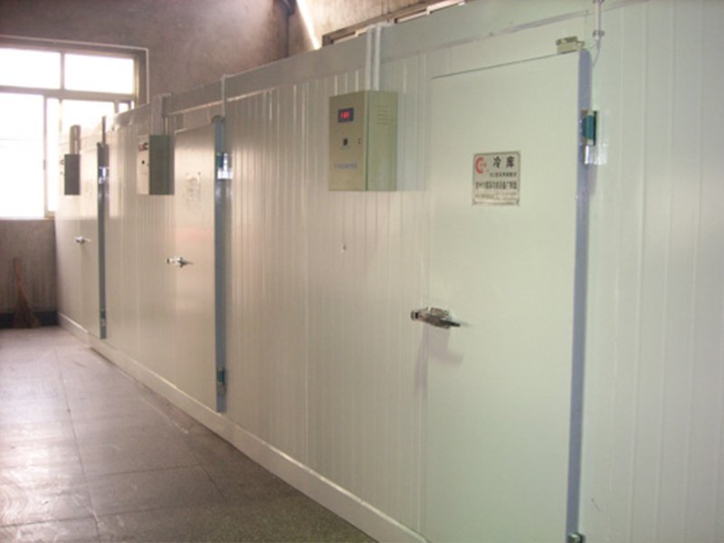 拉斯维加斯电子娱乐网站