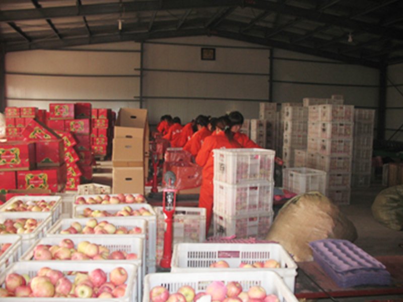 拉斯维加斯电子娱乐网站