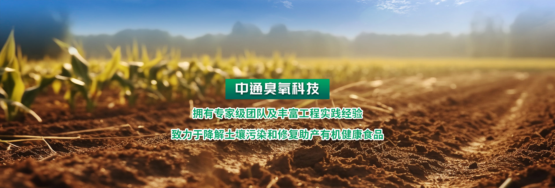 拉斯维加斯电子娱乐网站