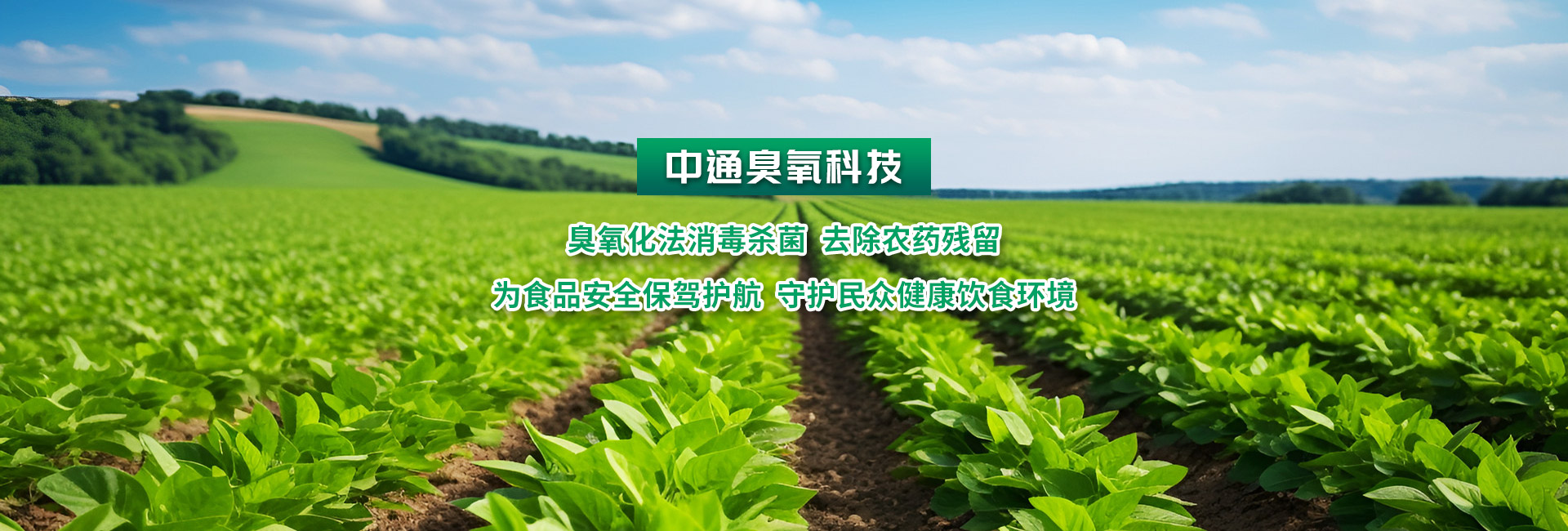 拉斯维加斯电子娱乐网站