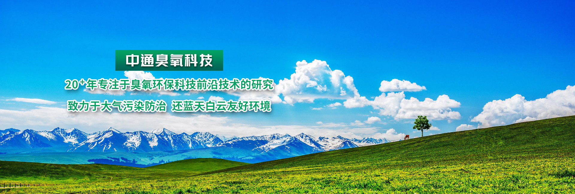 拉斯维加斯电子娱乐网站